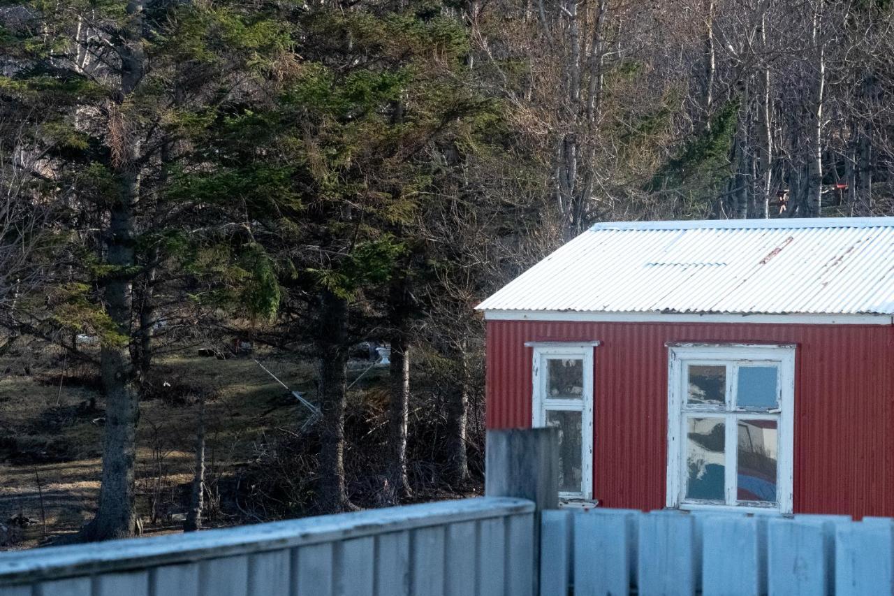 The Guesthouse By The Fjord Thingeyri Экстерьер фото